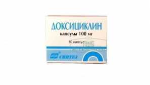 Co dělat s kousnutím algoritmu akce klíště